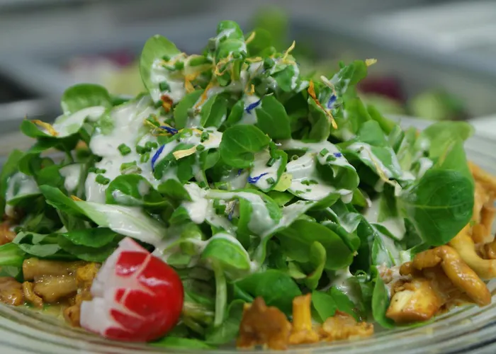 Hotel Restaurant La Furca Disentis